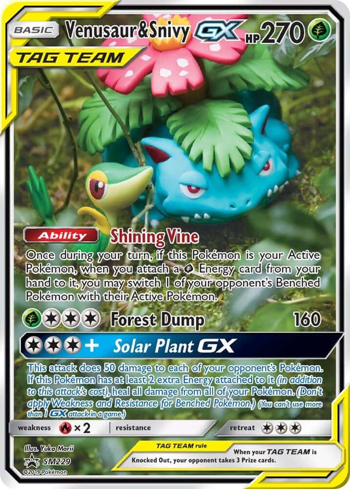 Venusaur & Snivy-GX, SM Black Star Promos